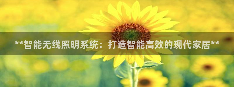 **智能无线照明系统：打造智能高效的现代家居**