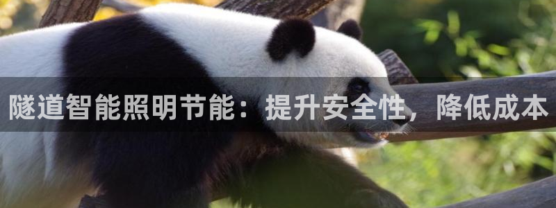 隧道智能照明节能：提升安全性，降低成本