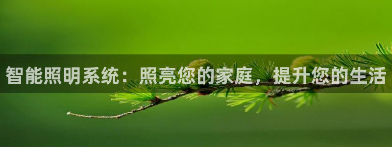 智能照明系统：照亮您的家庭，提升您的生活
