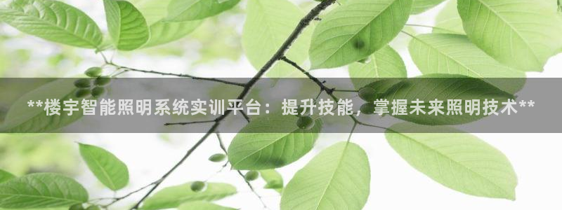 **楼宇智能照明系统实训平台：提升技能，掌握未来照明技术**