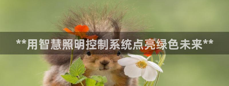 **用智慧照明控制系统点亮绿色未来**