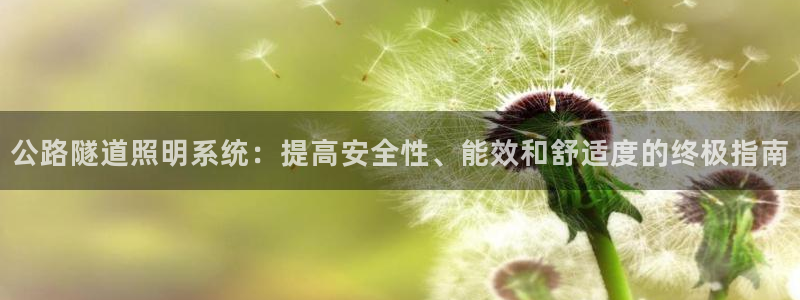 公路隧道照明系统:提高安全性、能效和舒适度的终极指南