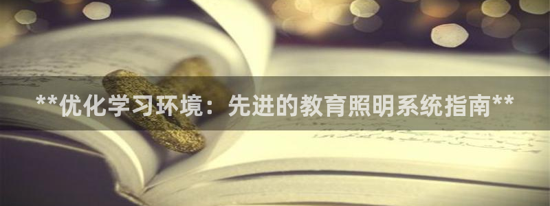 **优化学习环境：先进的教育照明系统指南**