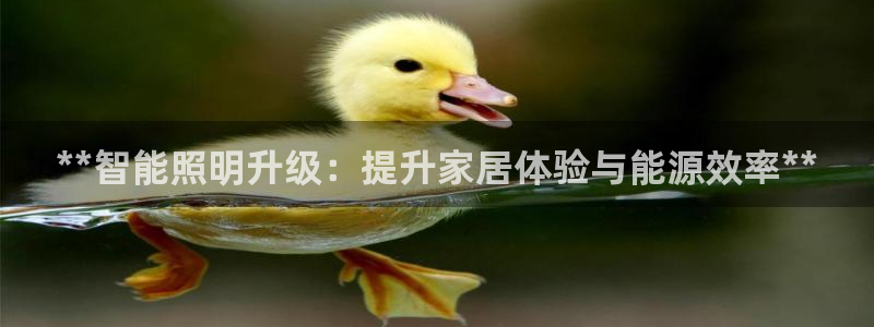 **智能照明升级：提升家居体验与能源效率**