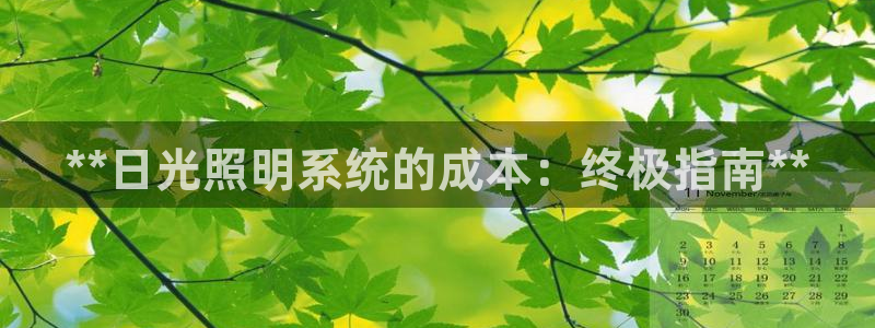 **日光照明系统的成本：终极指南**