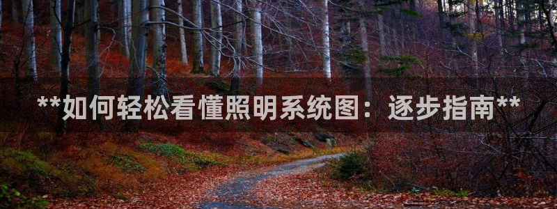 **如何轻松看懂照明系统图：逐步指南**