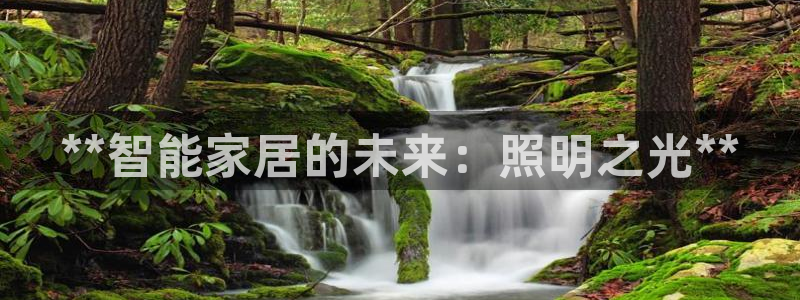 **智能家居的未来：照明之光**