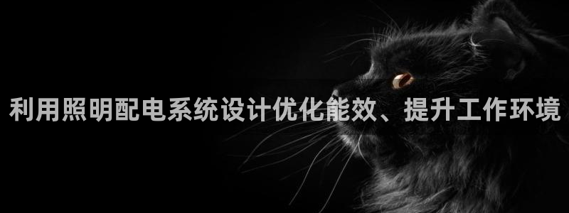 利用照明配电系统设计优化能效、提升工作环境