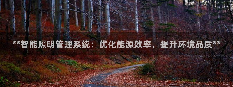 **智能照明管理系统：优化能源效率，提升环境品质**