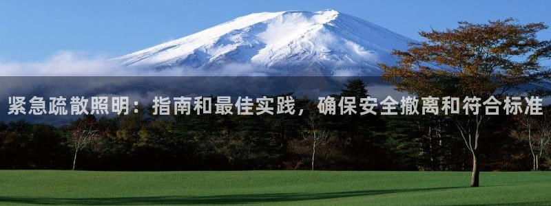 紧急疏散照明：指南和最佳实践，确保安全撤离和符合标准