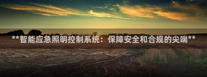 **智能应急照明控制系统：保障安全和合规的尖端**