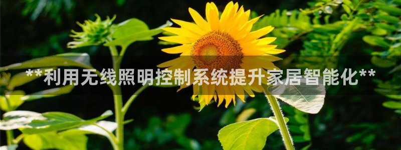 **利用无线照明控制系统提升家居智能化**