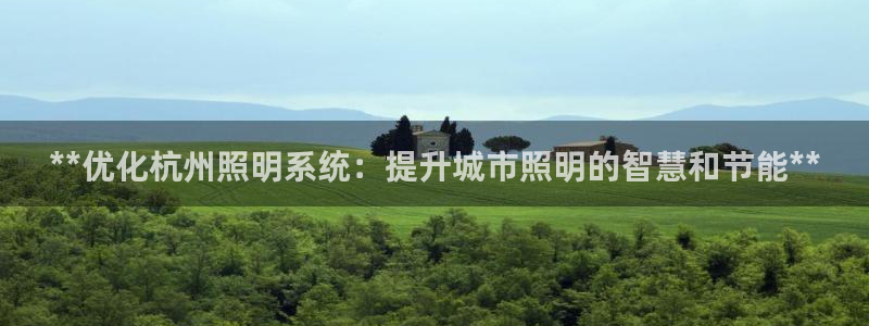 **优化杭州照明系统：提升城市照明的智慧和节能**