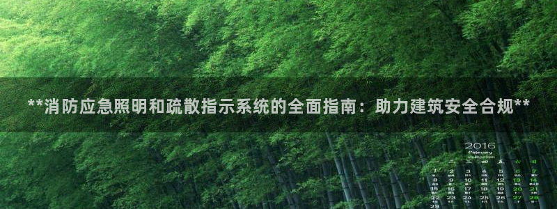 **消防应急照明和疏散指示系统的全面指南:助力建筑安全合规**