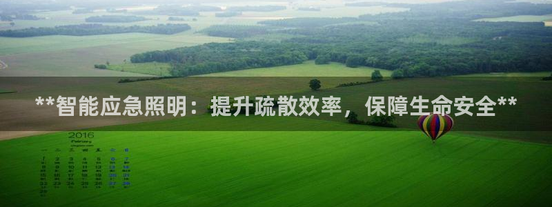 **智能应急照明：提升疏散效率，保障生命安全**
