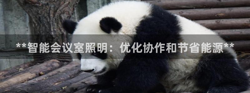 **智能会议室照明：优化协作和节省能源**