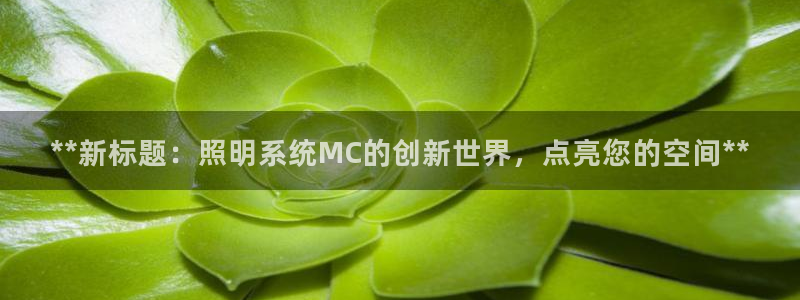 **新标题：照明系统MC的创新世界，点亮您的空间**