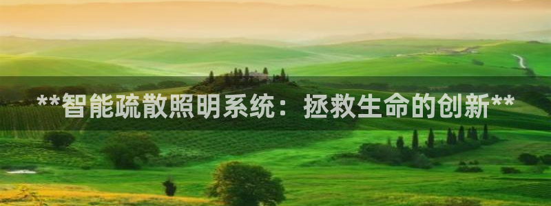 **智能疏散照明系统：拯救生命的创新**