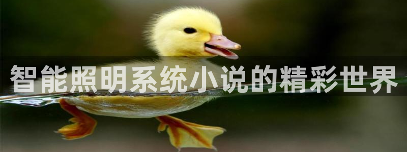 智能照明系统小说的精彩世界