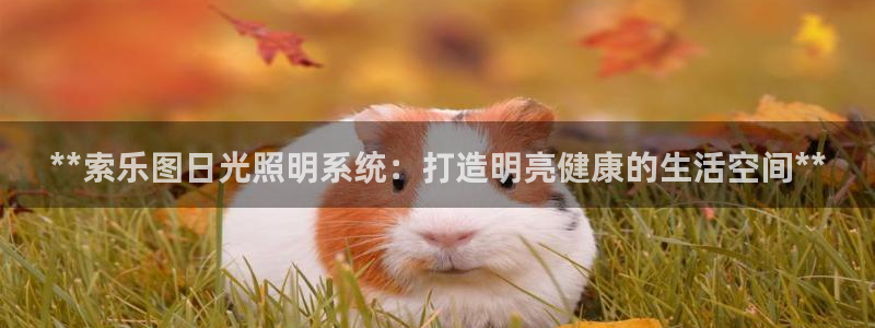 **索乐图日光照明系统：打造明亮健康的生活空间**