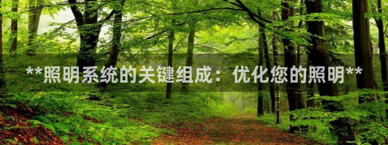 **照明系统的关键组成：优化您的照明**