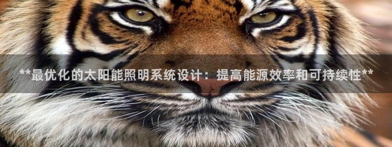 **最优化的太阳能照明系统设计:提高能源效率和可持续性**