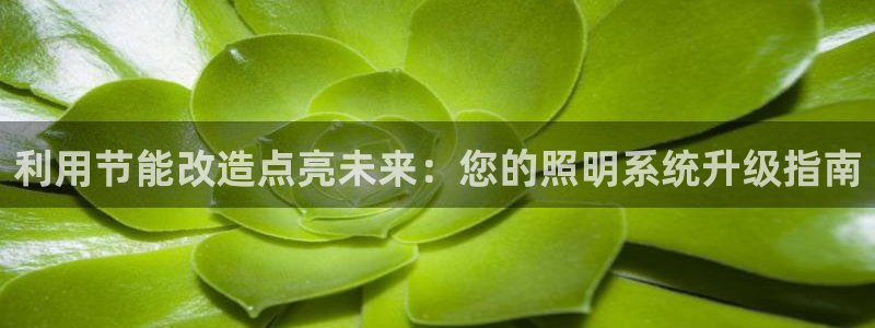 利用节能改造点亮未来：您的照明系统升级指南