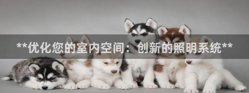 **优化您的室内空间：创新的照明系统**