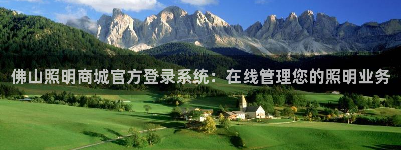 佛山照明商城官方登录系统:在线管理您的照明业务