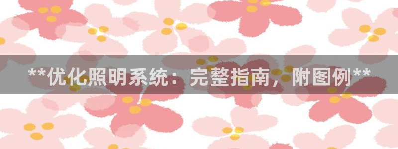 **优化照明系统：完整指南，附图例**