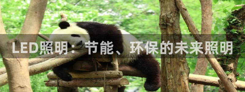 LED照明：节能、环保的未来照明