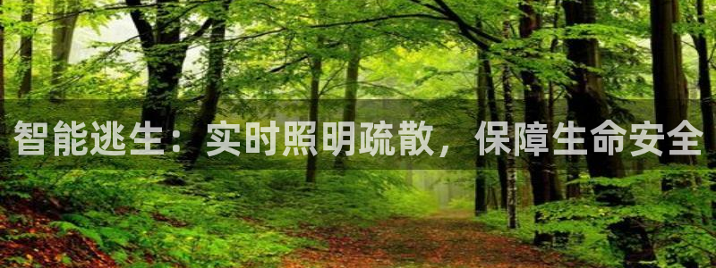 智能逃生：实时照明疏散，保障生命安全