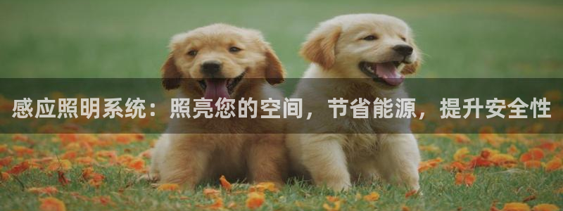 感应照明系统：照亮您的空间，节省能源，提升安全性