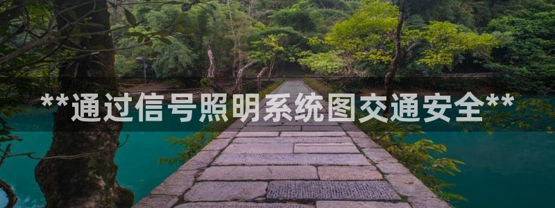 **通过信号照明系统图交通安全**