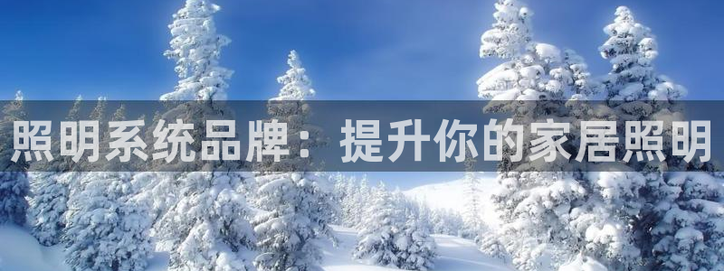 照明系统品牌：提升你的家居照明