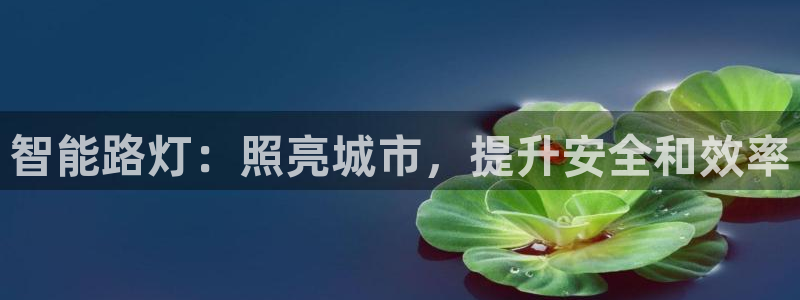 智能路灯：照亮城市，提升安全和效率