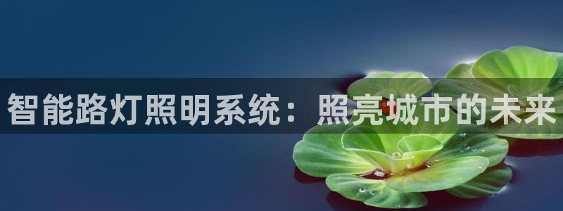 智能路灯照明系统：照亮城市的未来