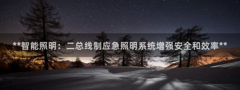 **智能照明：二总线制应急照明系统增强安全和效率**