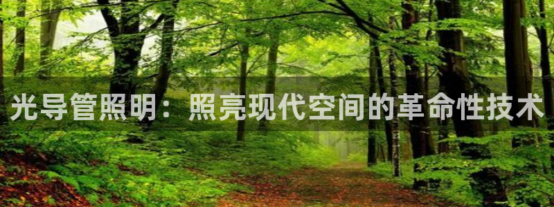 光导管照明：照亮现代空间的革命性技术