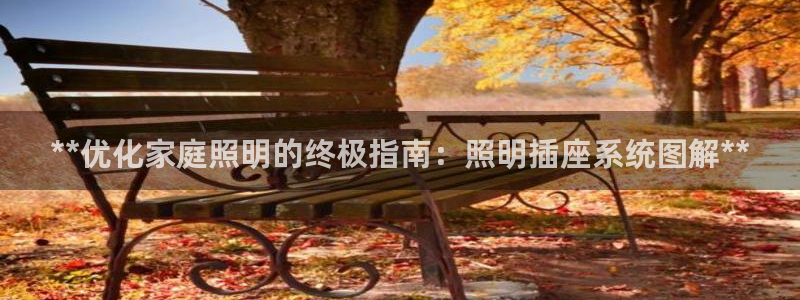 **优化家庭照明的终极指南：照明插座系统图解**