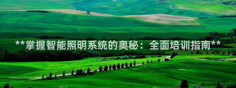 **掌握智能照明系统的奥秘：全面培训指南**