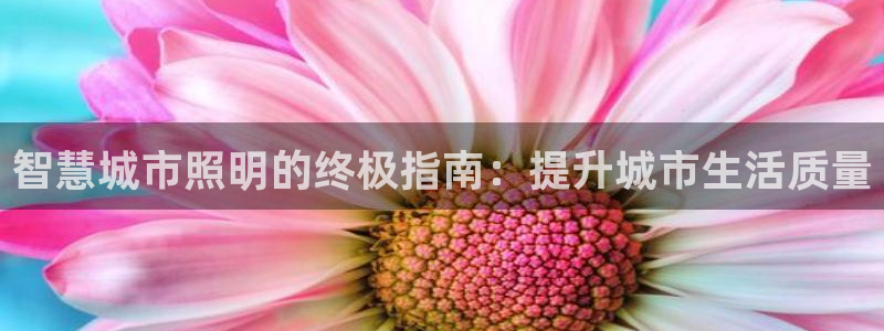 智慧城市照明的终极指南：提升城市生活质量