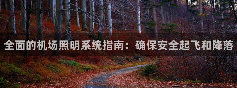 全面的机场照明系统指南：确保安全起飞和降落