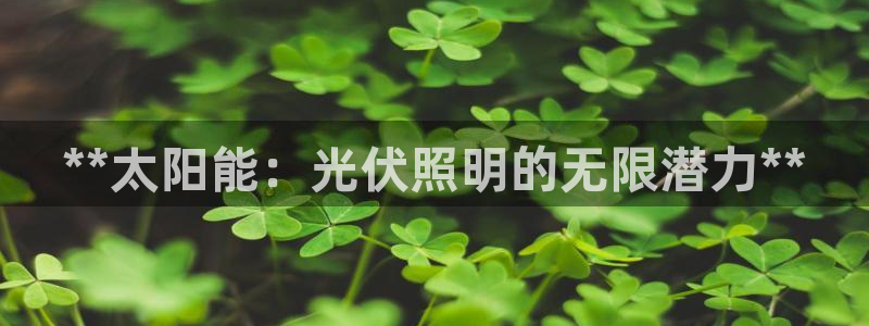 **太阳能：光伏照明的无限潜力**