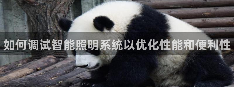 如何调试智能照明系统以优化性能和便利性