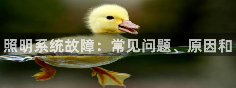 照明系统故障：常见问题、原因和