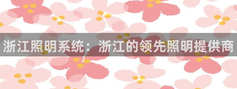 浙江照明系统：浙江的领先照明提供商