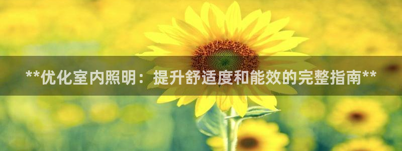 **优化室内照明：提升舒适度和能效的完整指南**