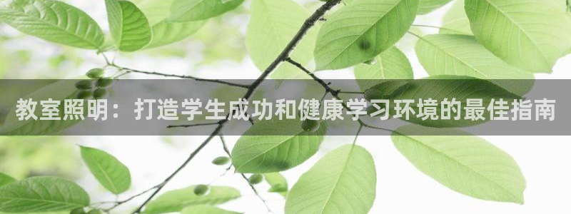 教室照明：打造学生成功和健康学习环境的最佳指南