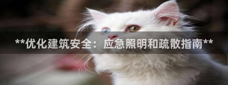 **优化建筑安全：应急照明和疏散指南**